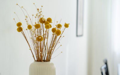 SEMPLIFICARE NON E’ BANALIZZARE