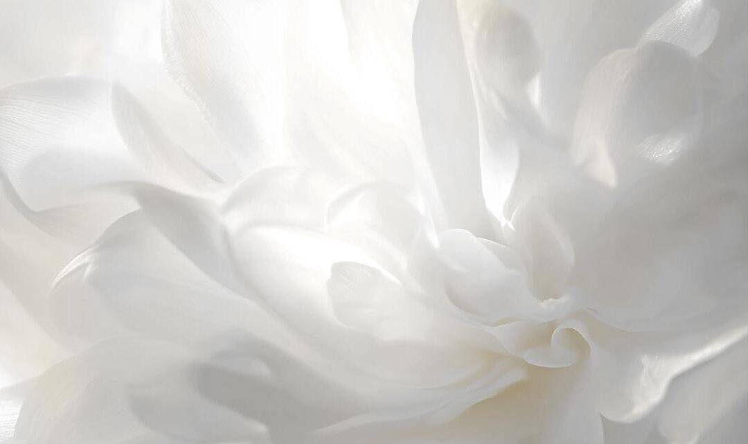 PANTONE 2026: LA FORZA DI CLOUD DANCER, EVOCARE UN INIZIO SENZA IMPORRE UNA DIREZIONE.