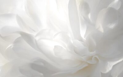 PANTONE 2026: LA FORZA DI CLOUD DANCER, EVOCARE UN INIZIO SENZA IMPORRE UNA DIREZIONE.