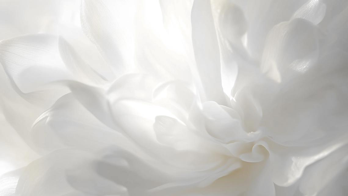 HOME STAGING HOME PHILOSOPHY ACADEMY